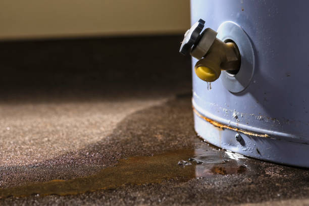 Best Carpet water damage restoration  in East Pittsburgh, PA