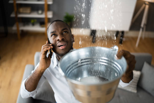 Best Basement water damage restoration  in East Pittsburgh, PA
