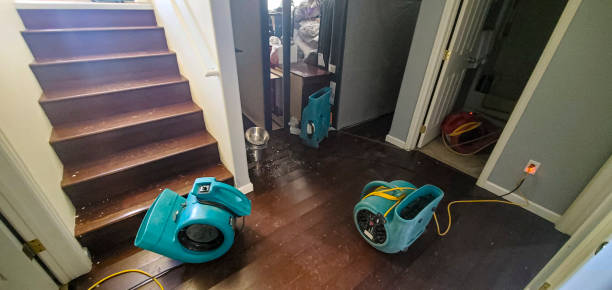 Best Water damage restoration mold remediation  in East Pittsburgh, PA