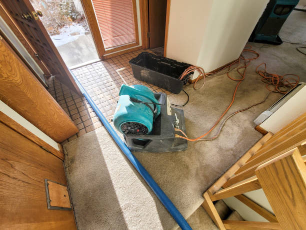 Best Water damage restoration services  in East Pittsburgh, PA