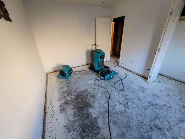Best Flood restoration services  in East Pittsburgh, PA