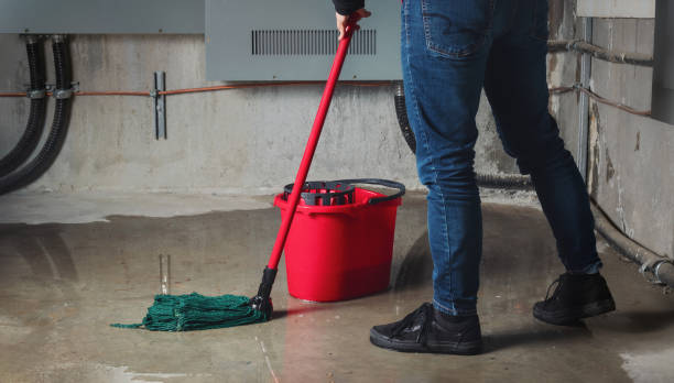 Best Ceiling water damage repair  in East Pittsburgh, PA