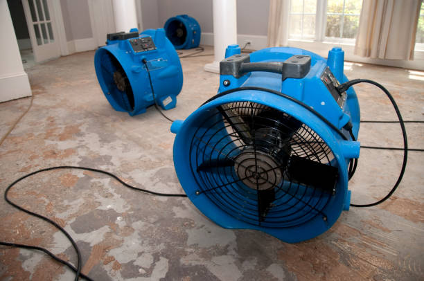 Best Professional water damage repair  in East Pittsburgh, PA