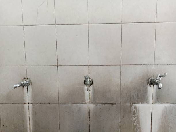 East Pittsburgh, PA Water damage restoration Pros