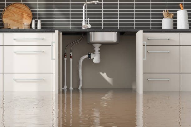 Best Residential water damage restoration  in East Pittsburgh, PA