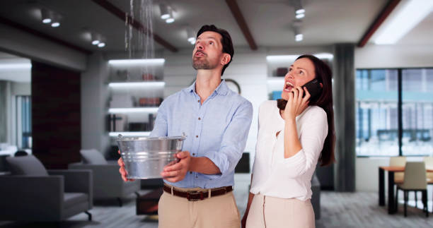 Best Water damage restoration experts  in East Pittsburgh, PA