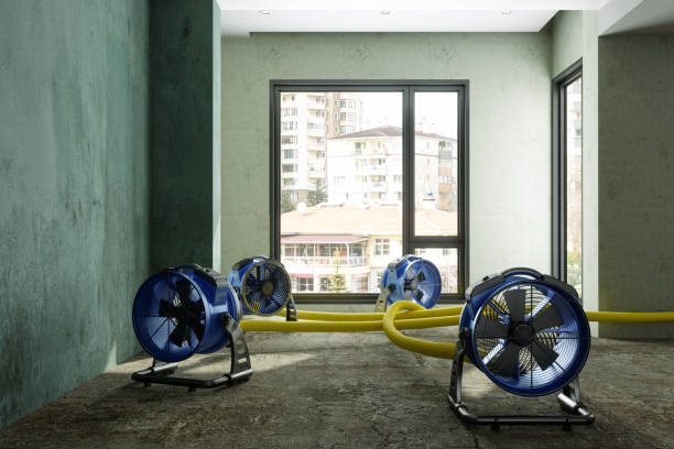Best Water damage contractors near me  in East Pittsburgh, PA